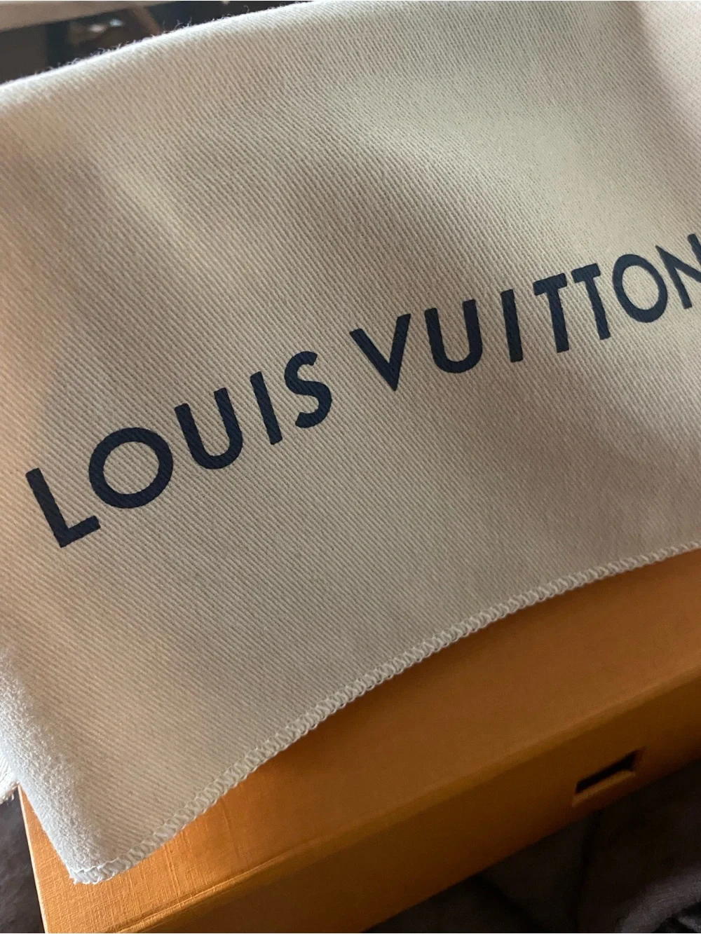 Louis Vuitton signature louis